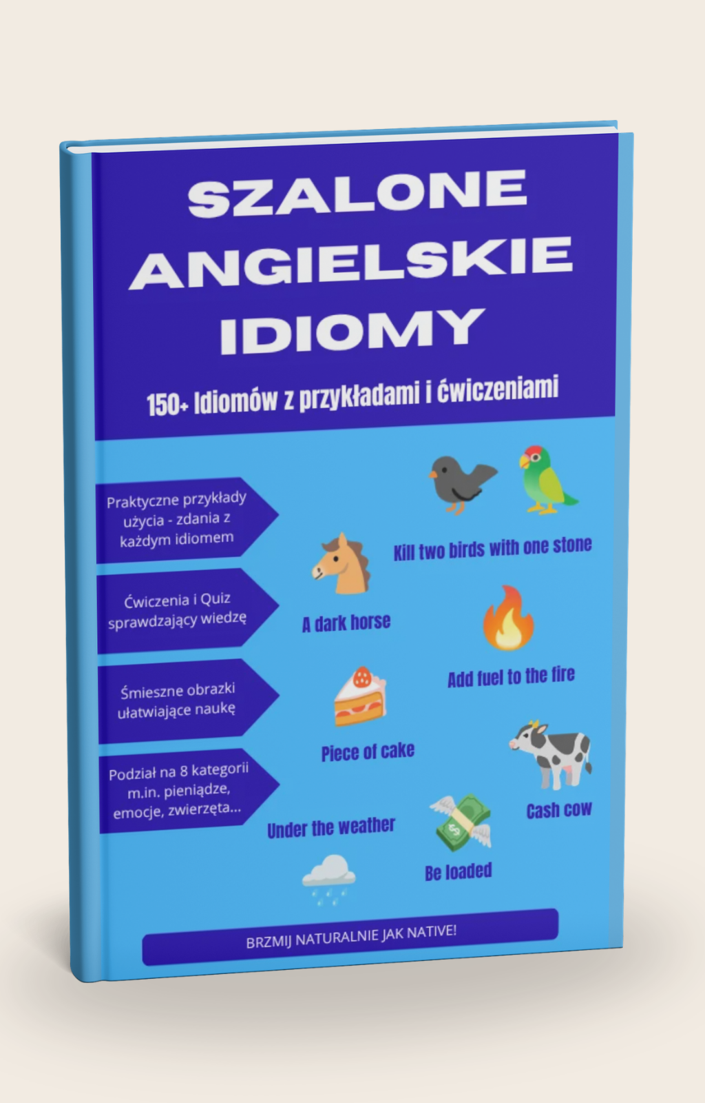 ZESTAW: Szalone Angielskie Idiomy + Dodatkowe Idiomy + Dodatkowe Ćwiczenia, 3 e-booki.